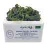 Organic Fresh Salted Wakame Stipe Seaweed