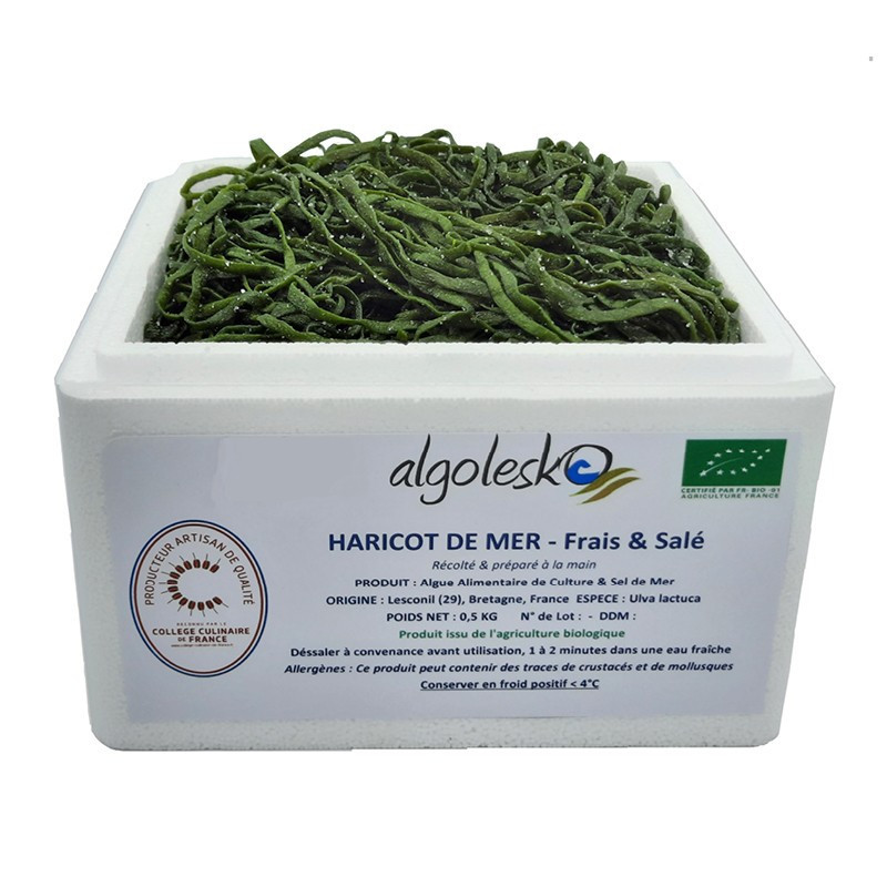 Organic Fresh Salted Sea Spaghetti Seaweed