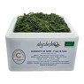 Organic Fresh Salted Sea Spaghetti Seaweed