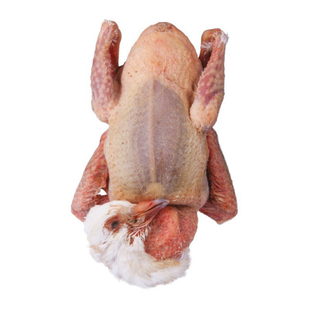 Whole French Squab Pigeon with Blood