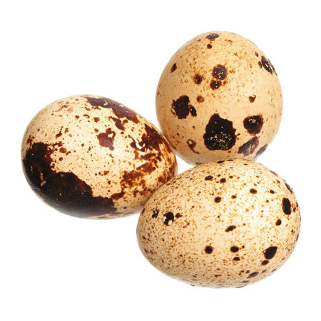 Fresh Quail Eggs
