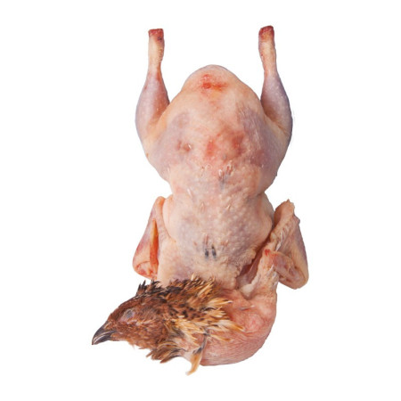 Case Whole French Quail