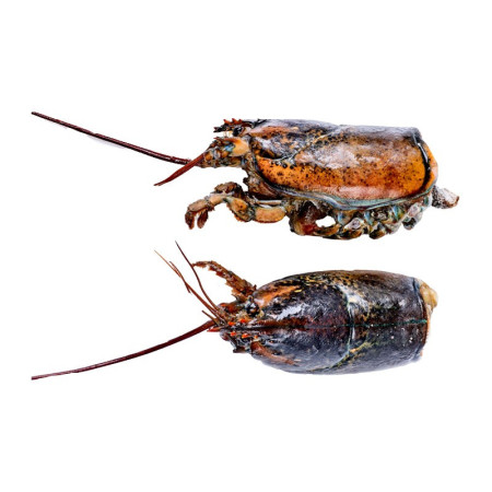 Cinq Degres Ouest Raw Canadian Lobster Heads