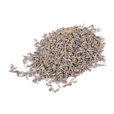 Dried Lavender