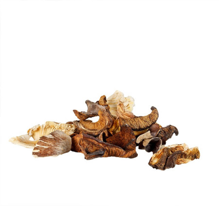 Plantin Dried Mixed Forest Mushrooms