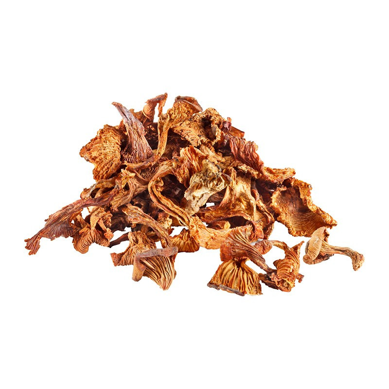 Dry Chanterelle Girolle