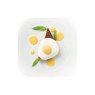 Frozen Intense Coconut Puree 10% Sweetened
