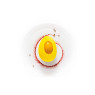 Frozen 100% Alphonso Mango Puree