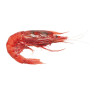 Frozen Gambero Rosso Wild Red Prawns XXL