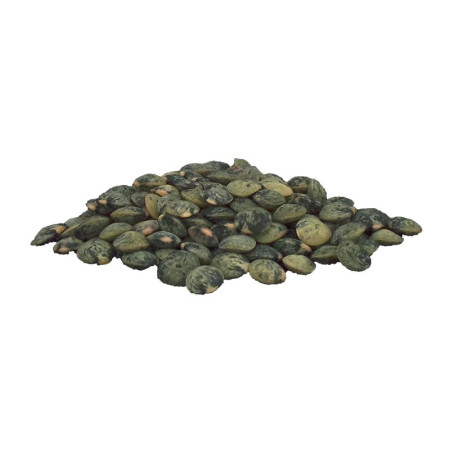 Sabarot Le Puy Green Lentils