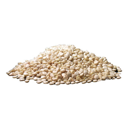 Sabarot White Quinoa