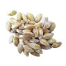 Spelt Wheat