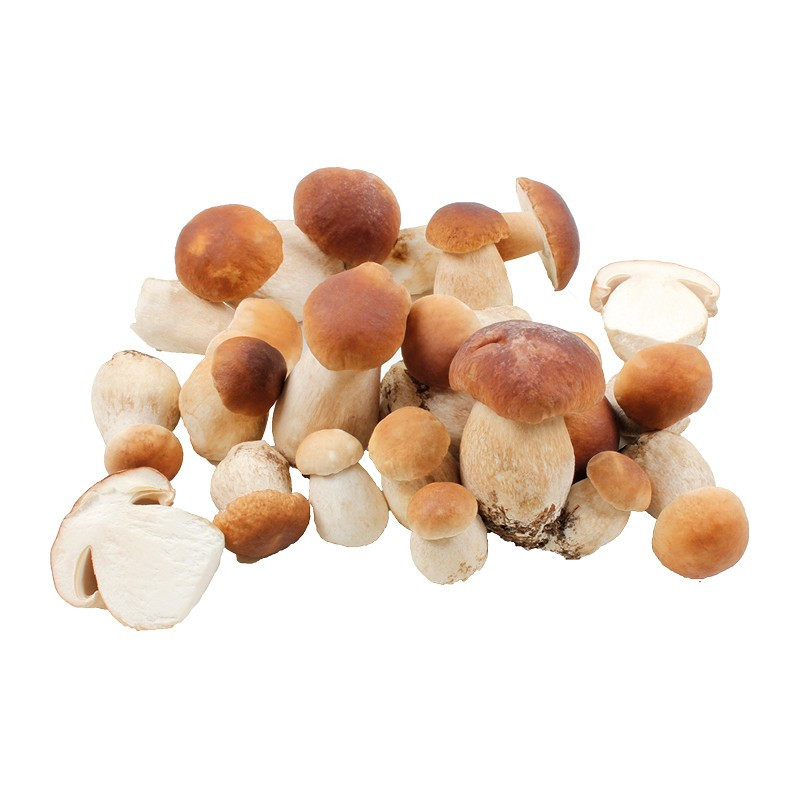 Frozen Ceps Whole less then 8cm