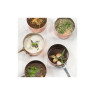 Veal Demi Glace 67%