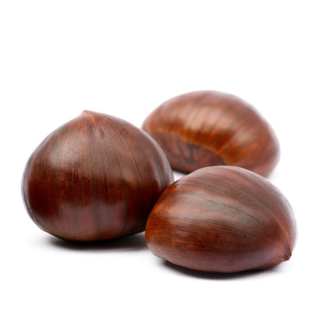 Ponthier Chestnut Puree