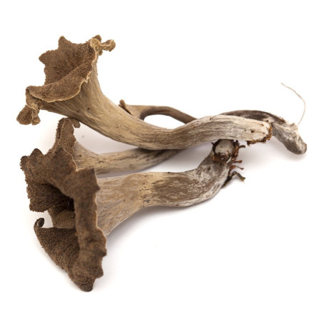 Black Trompette Mushrooms
