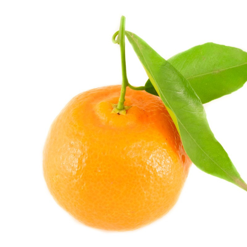 Leafy Clementines