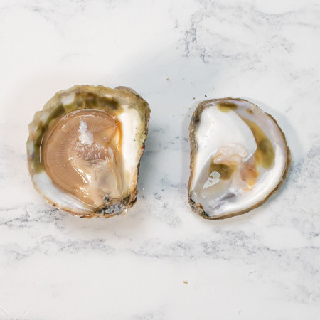 Friandise Fine Oyster