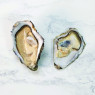 Ostra Regal Speciales Oysters N.2