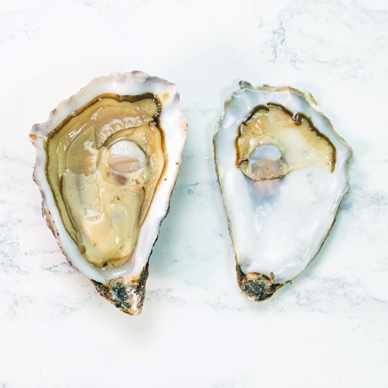 Green Fine De Claire Marennes Oleron Oyster