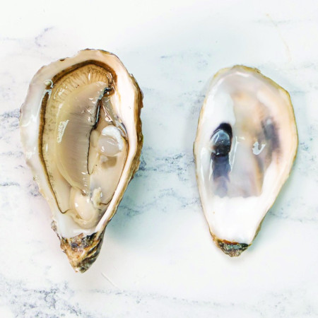 Speciales De Claire Marennes Oleron Oyster