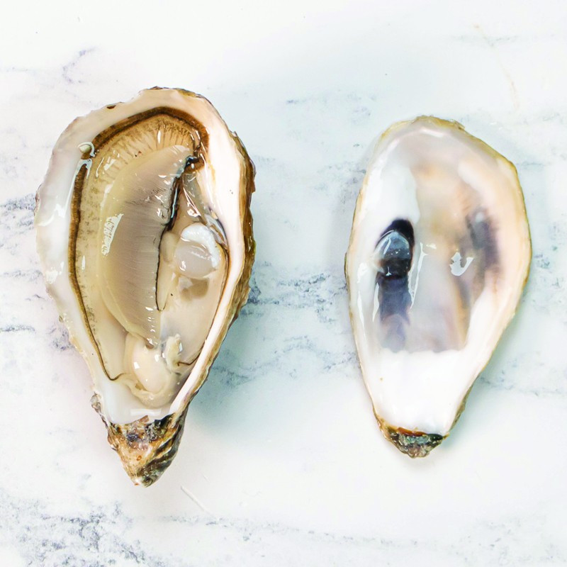 Fines De Claire Marennes Oleron Oyster