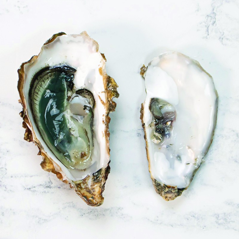 Green Fine De Claire Marennes Oleron Oyster