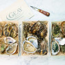 Green Fine De Claire Marennes Oleron Oyster