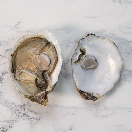 Tarbouriech Speciales Pink Oysters N.3