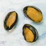 Fresh Abalone
