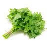 Coriander