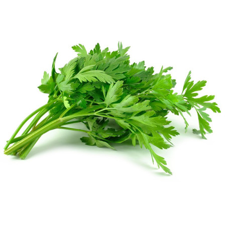Flat Leaf Parsley