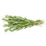 Rosemary