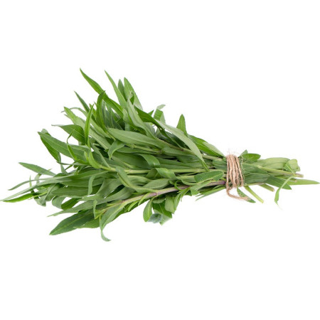Tarragon