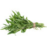 Tarragon