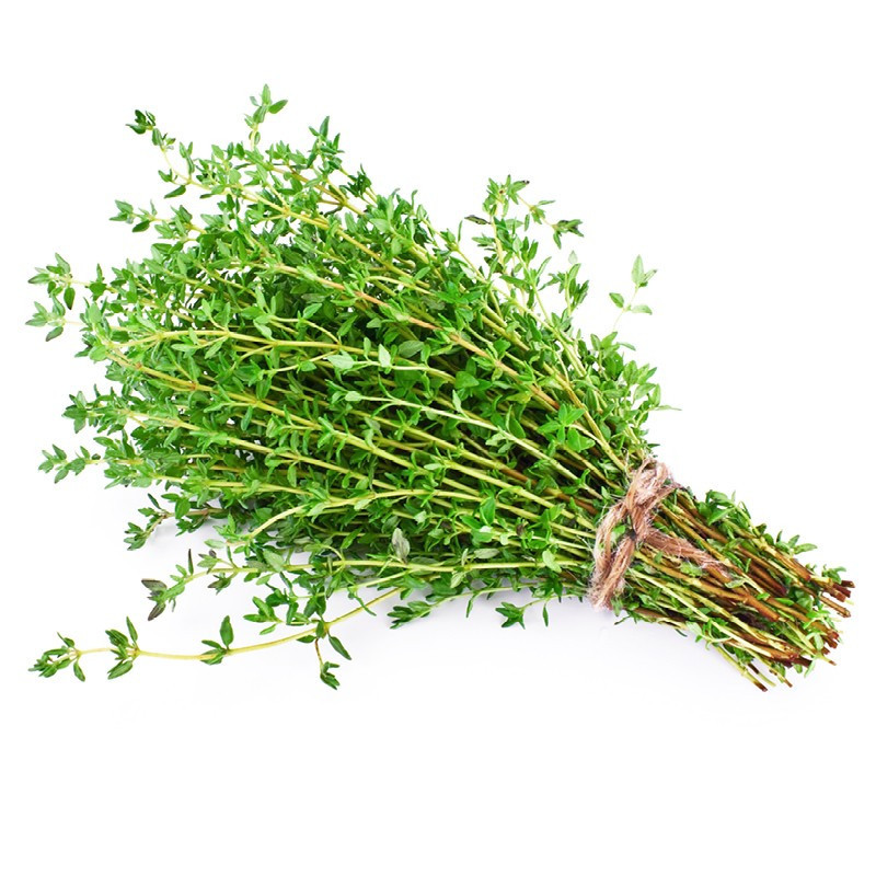 Thyme