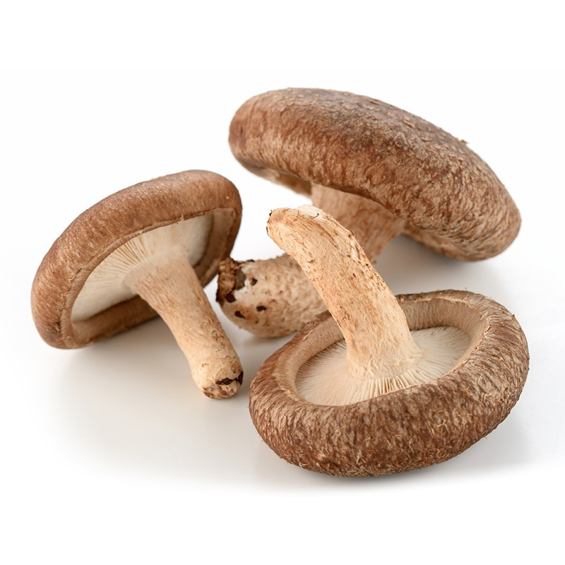 Shiitake Mushrooms