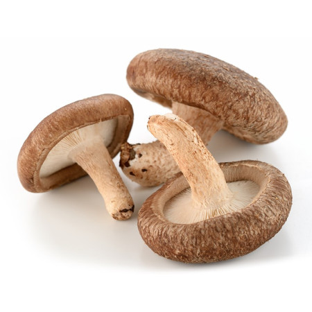 Shiitake Mushrooms