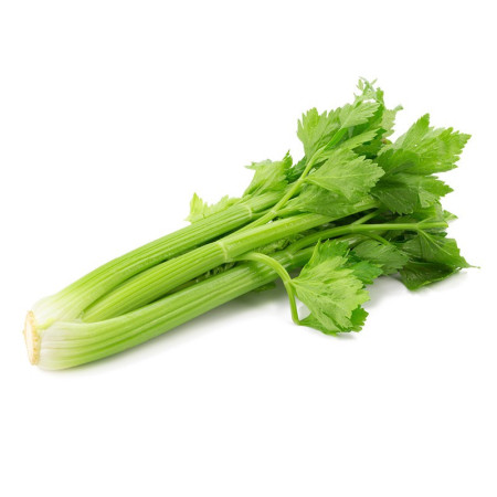 Celery