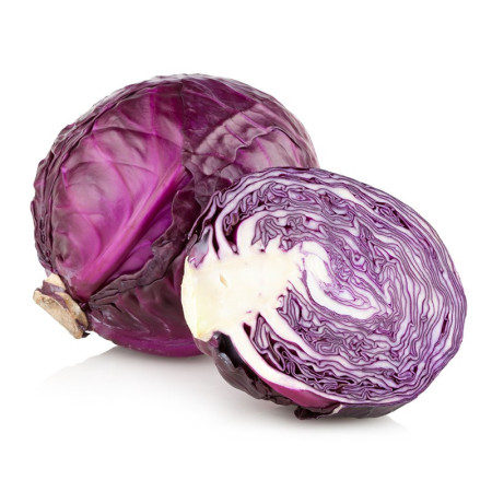 Red Cabbage