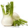Fennel