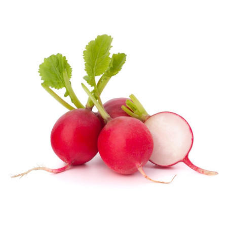 Red Radishes