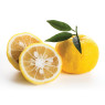 Fresh Yuzu