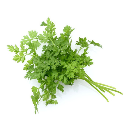 Chervil