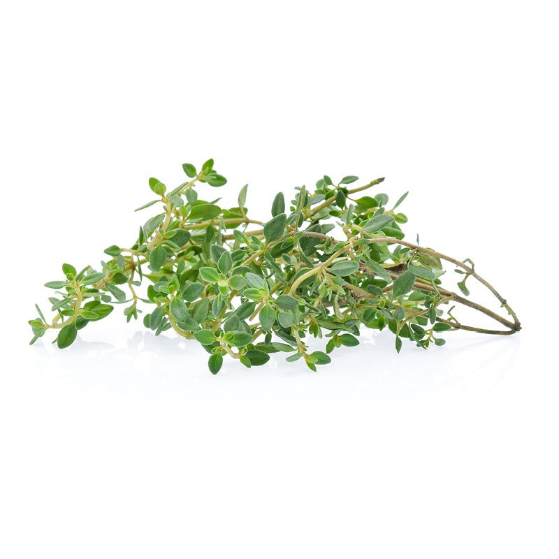 Lemon Thyme