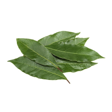 Bay Leaves