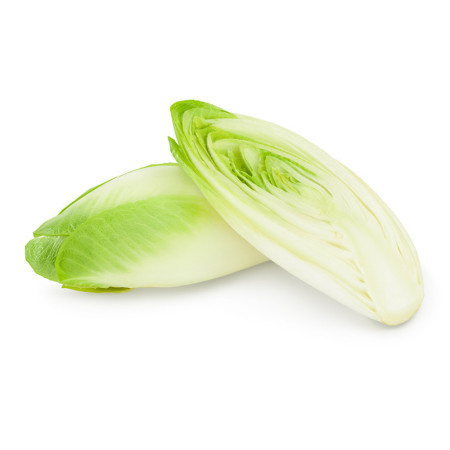 Chicory