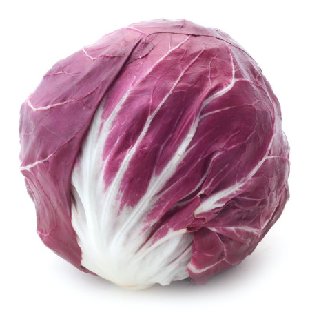 Radicchio