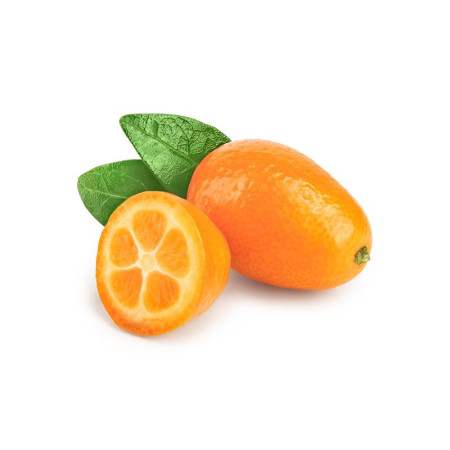 Kumquat
