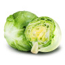 Iceberg Lettuce